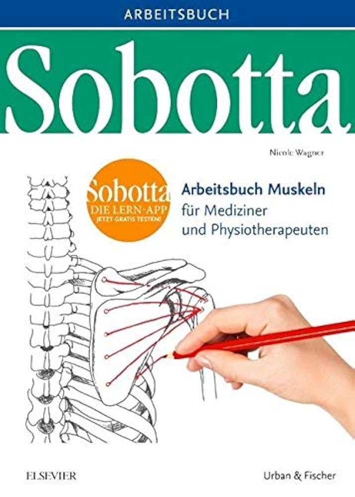 健康・医学 Sobotta Malbuch Anatomie 健康・医学 Sobotta Malbuch Anatomie Sobotta Malbuch Anatomie